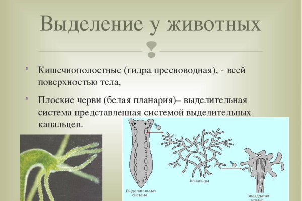 Как вывести деньги с кракена