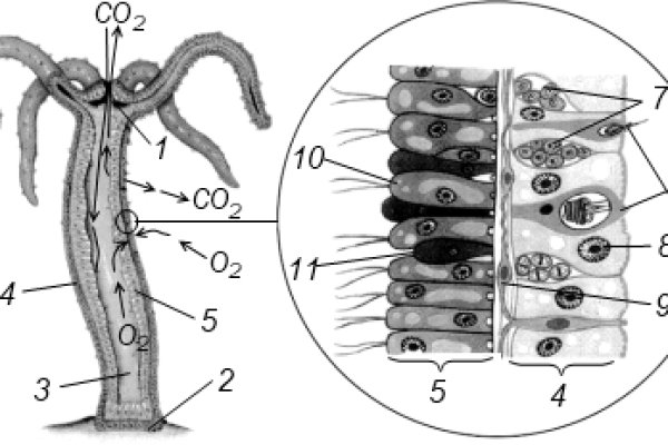 Kra15.cc