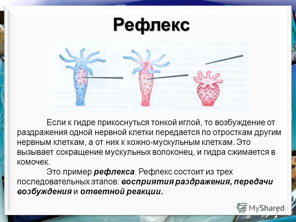 Кракен зеркало ссылка онлайн